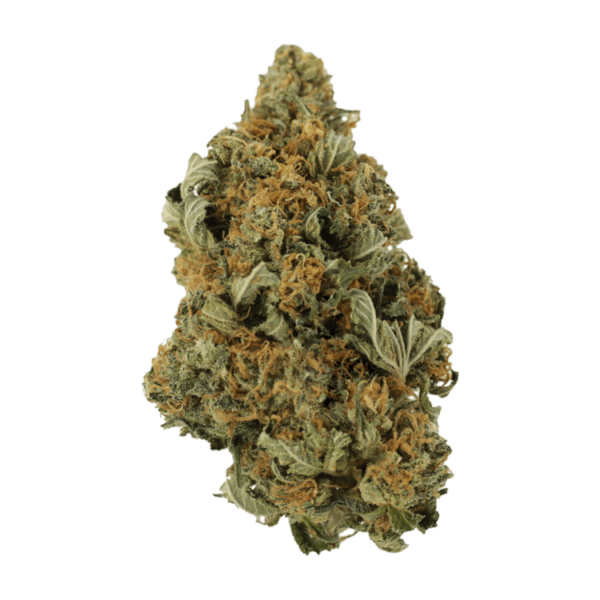 God’s Bubba | Get Kush Canada