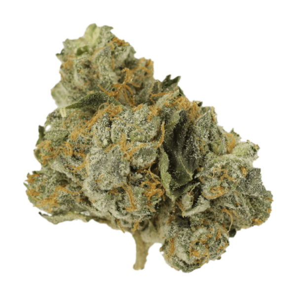 Mango Cream | Get Kush Canada
