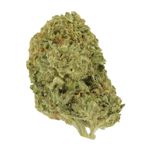 Mango Cream | Get Kush Canada