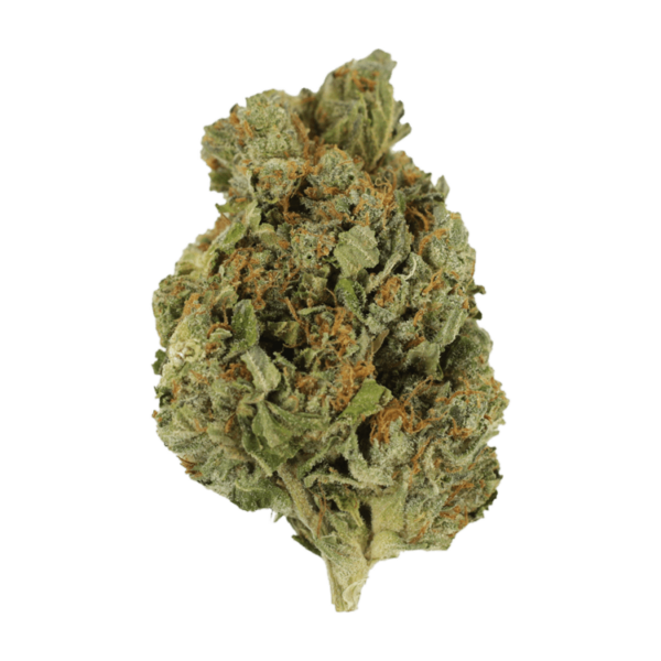 Mango Cream | Get Kush Canada