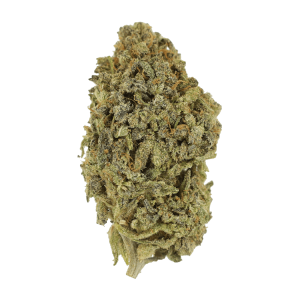 Watermelon Gelato | Get Kush Canada