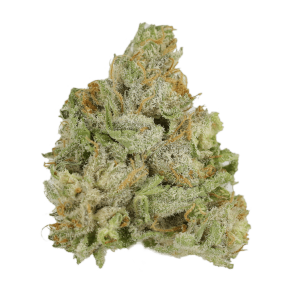 El Jefe | Get Kush Canada