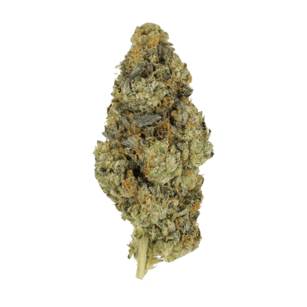 DoSi Face | Get Kush Canada