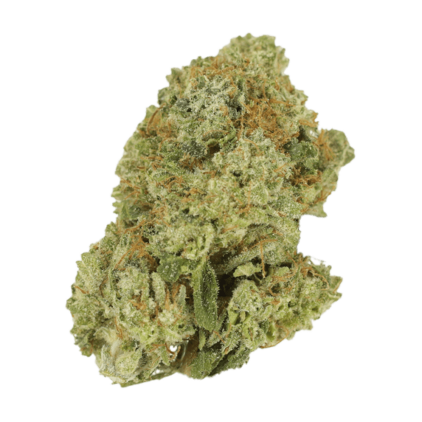 Malawi Gold | Get Kush Canada