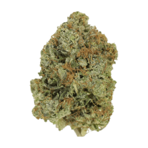 Jack Herer (popcorn) | Get Kush Canada