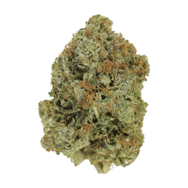 Jack Herer (popcorn) | Get Kush Canada