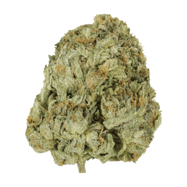 Godzilla Glue | Get Kush Canada