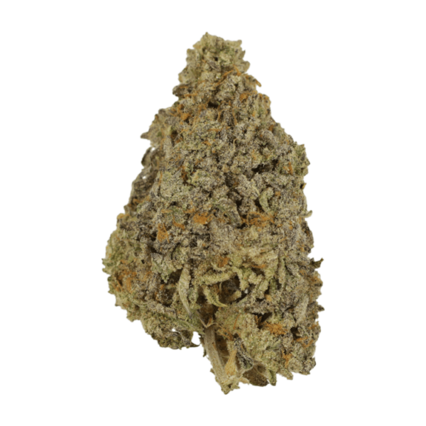 Frosty Gelato | Get Kush Canada