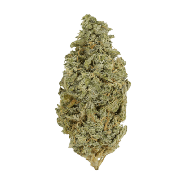 Orange Cookies | Get Kush Canada