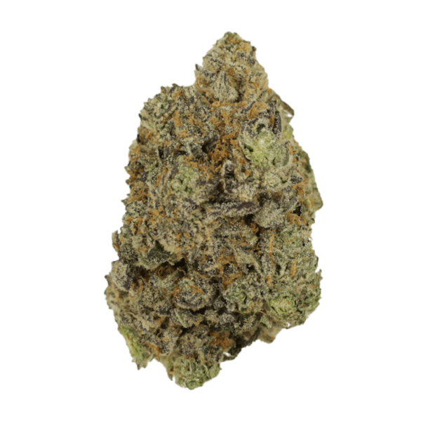 Hash Plant | Get Kush Canada