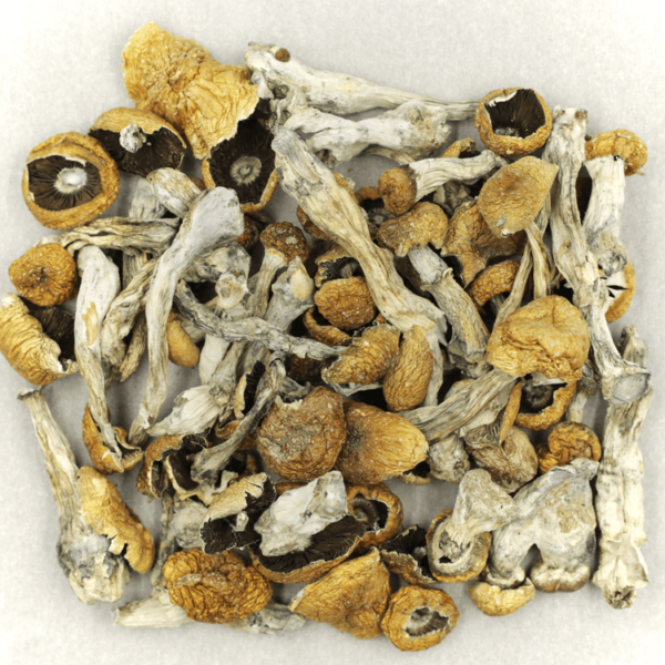 Orissa | Get Kush Canada