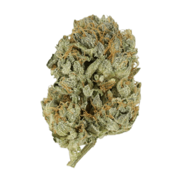 Kashmir Kush | Get Kush Canada
