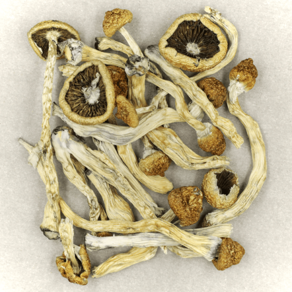 Texas Yellow Cap | Get Kush Canada