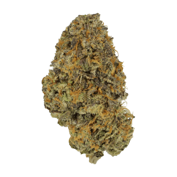 Blackberry Nightmare | Get Kush Canada
