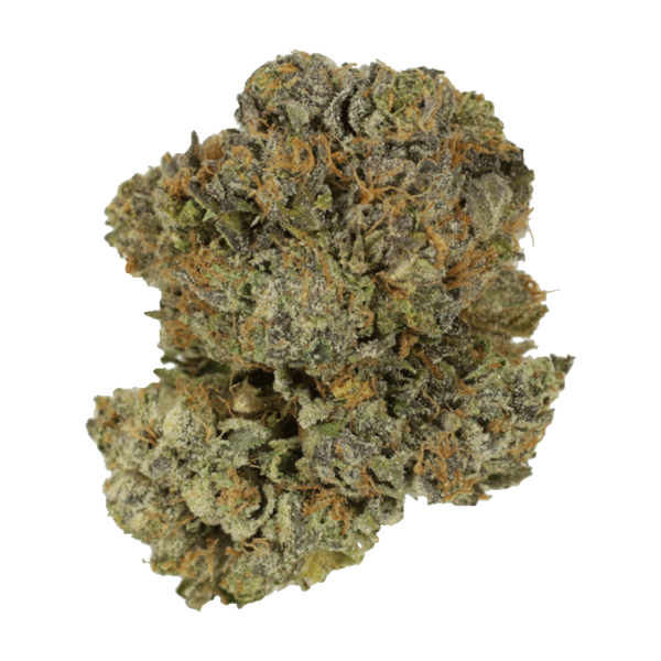 Chocolate Mint | Get Kush Canada