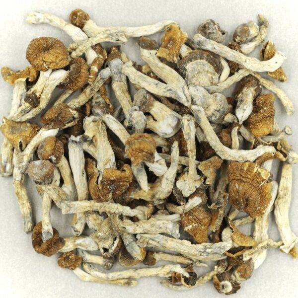 Florida White | Get Kush Canada