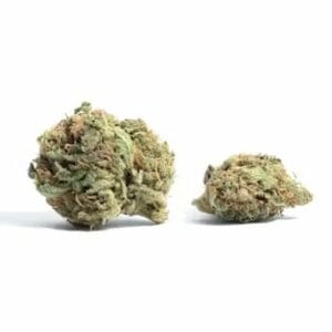 White Truffle (Popcorn) | Get Kush Canada