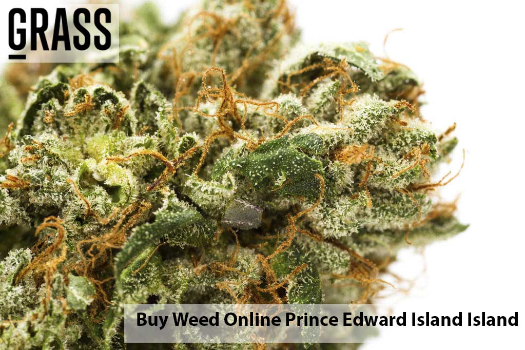 Buy cannabis Online Prince Edward Island | Get Kush Canada | Get Kush Canada