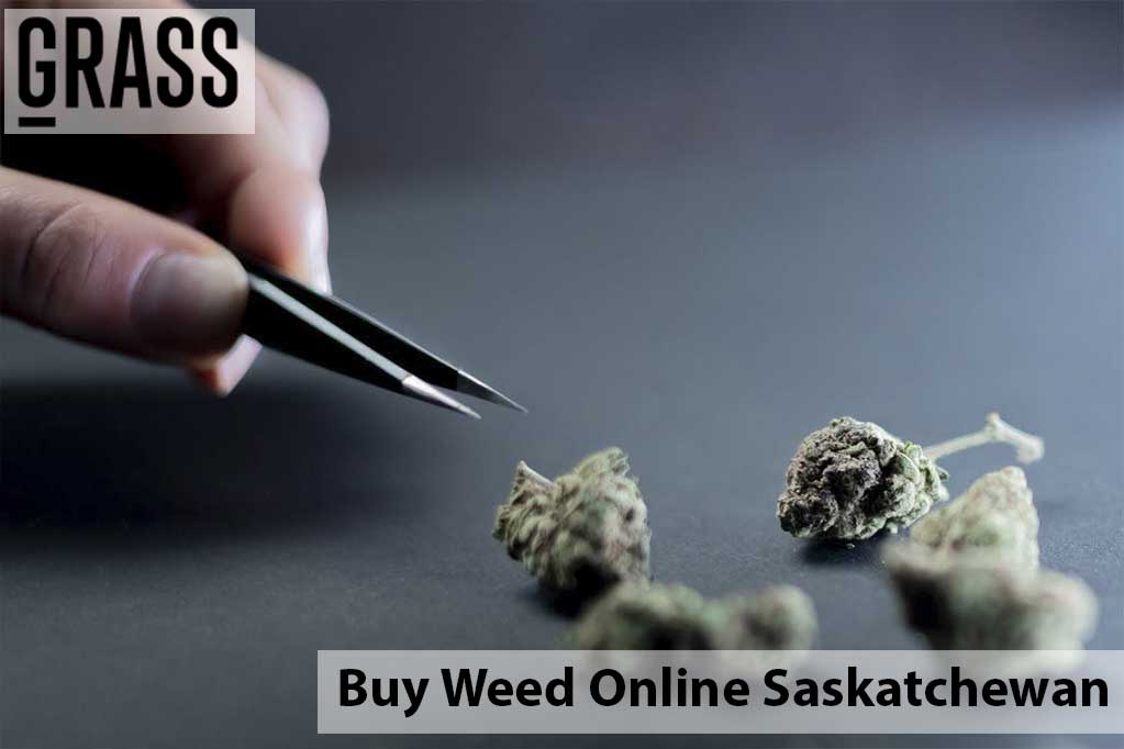 Buy cannabis Online Saskatchewan | Get Kush Canada | Get Kush Canada