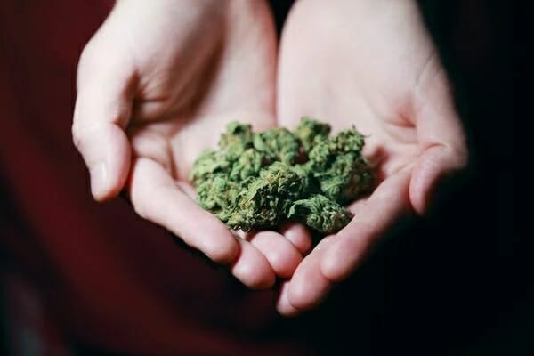 Buy cannabis Online Prince Edward Island | Get Kush Canada | Get Kush Canada