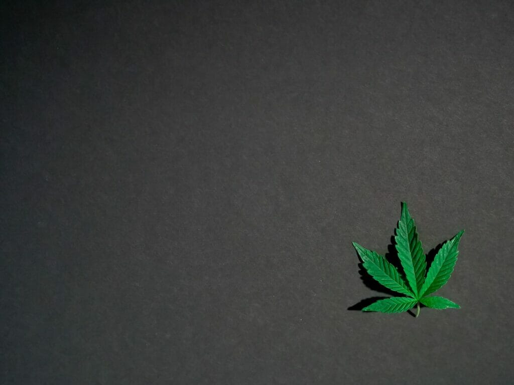Hybrid - weed | Get Kush Canada