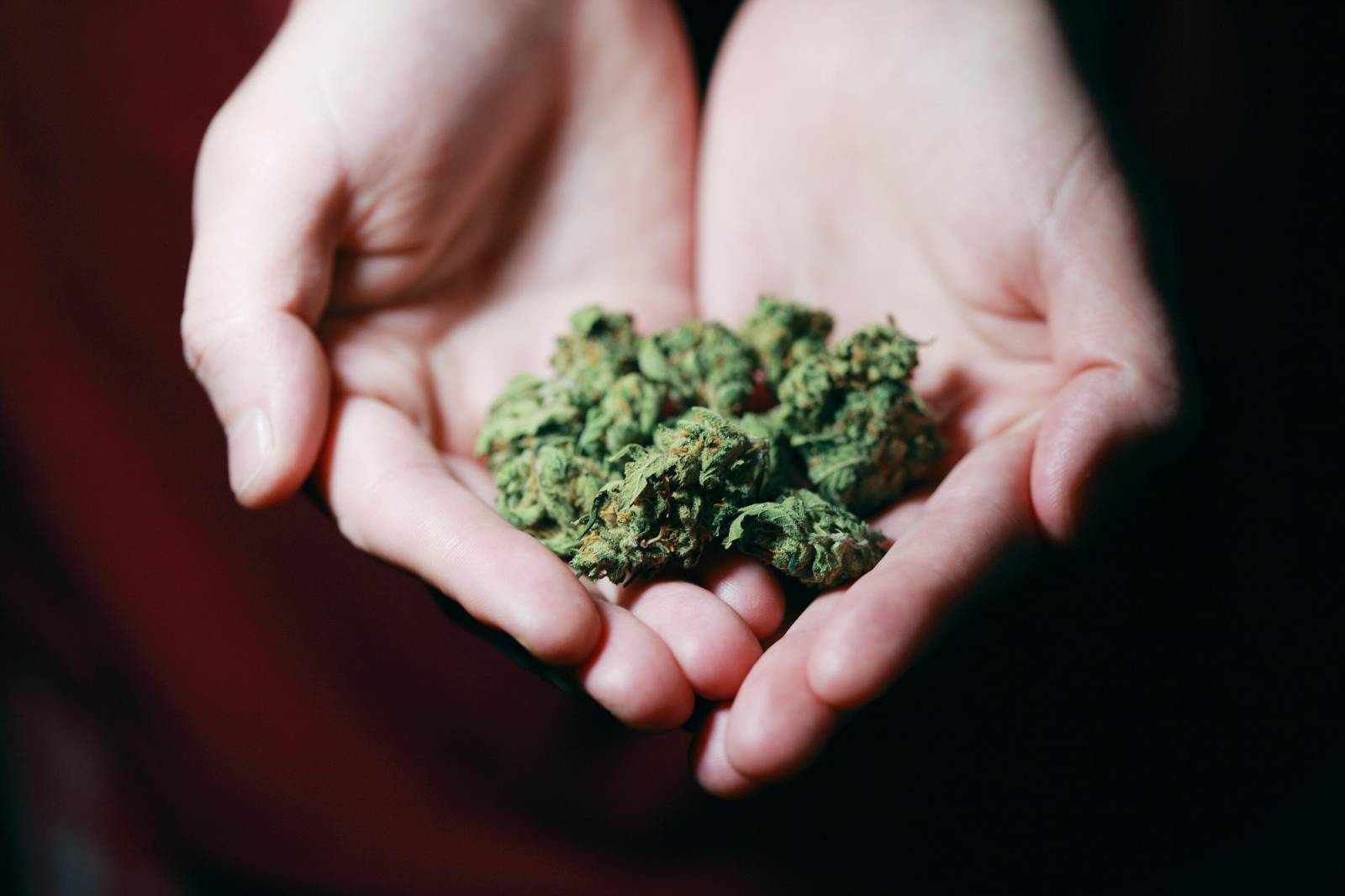 Buy cannabis Online | Get Kush Canada | Get Kush Canada