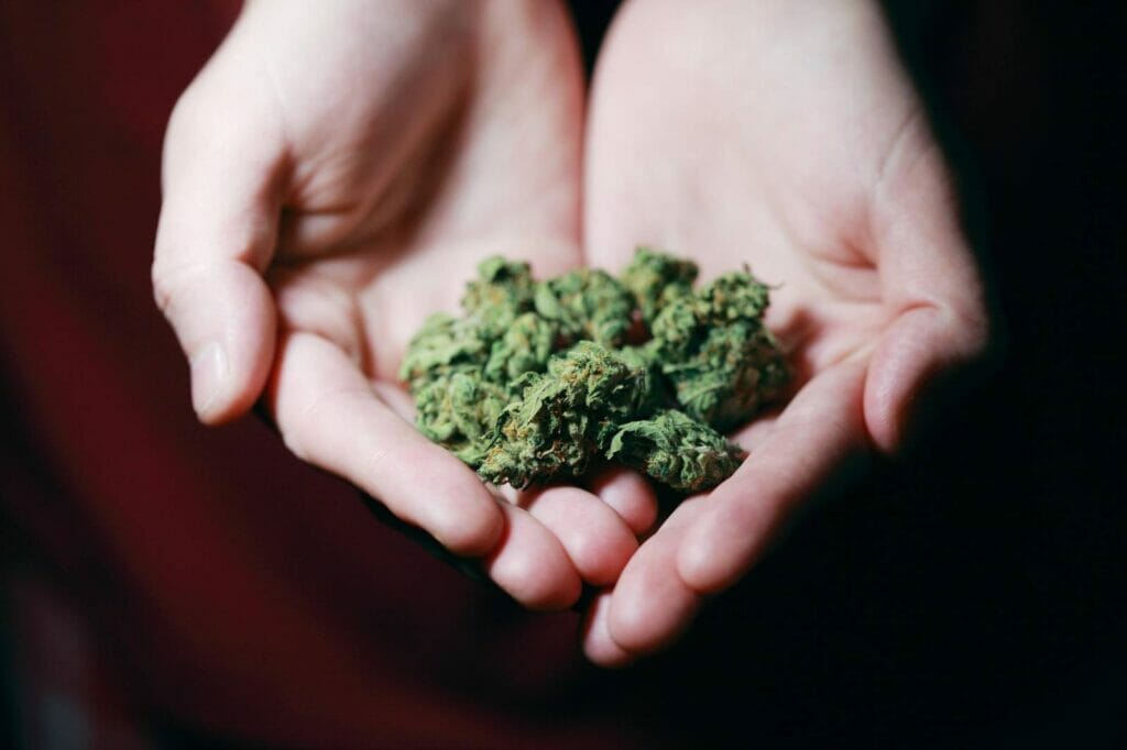 Best dispensary in canada | Get Kush Canada