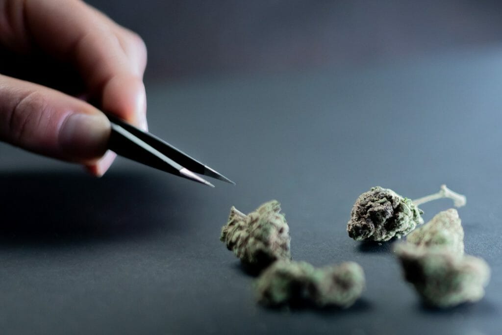 Buy cannabis Online Canada | Get Kush Canada