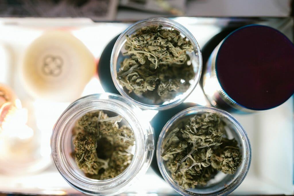 Best cannabis in Canada: Finding the Premium Hybrid Strains | Get Kush Canada | Get Kush Canada