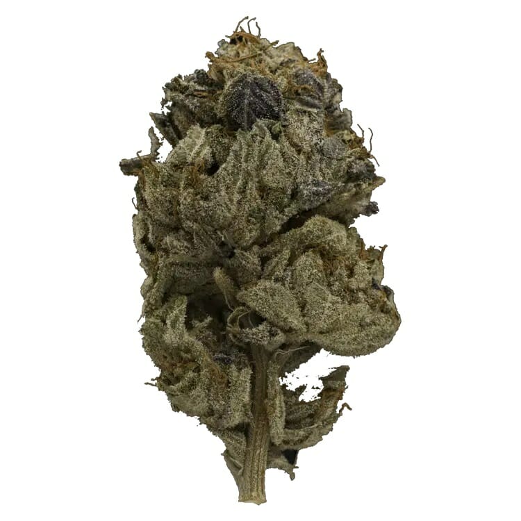 Enjoy the Heavy Indica Effects of Pink Gas Mask Strain | Get Kush Canada | Get Kush Canada