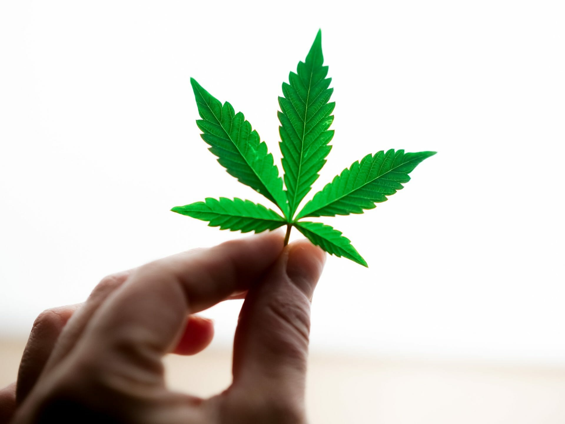 Buy cannabis Online | Get Kush Canada | Get Kush Canada