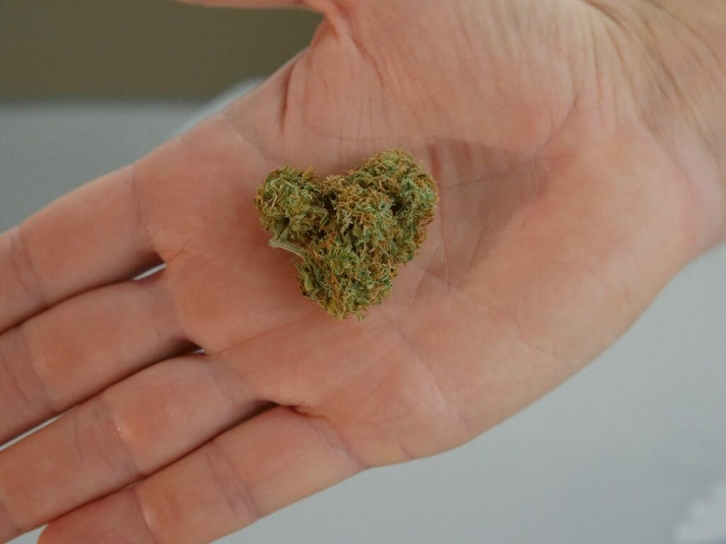 cannabis marijuana Canada | Get Kush Canada