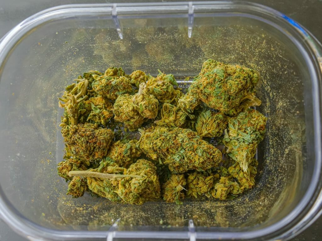 Best cannabis in Canada: Finding the Premium Hybrid Strains | Get Kush Canada | Get Kush Canada