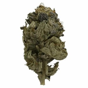 Get Kush Canada - Pink Gas Strain | Get Kush Canada