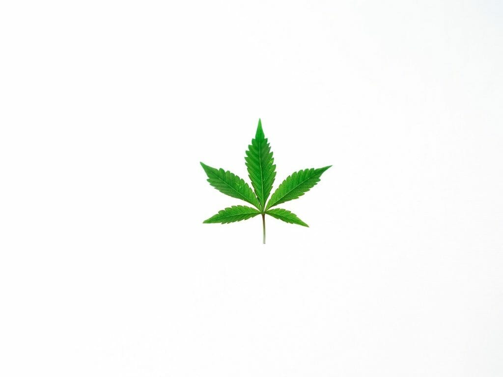 Benefits of Shopping in a BC cannabis Online Dispensary | Get Kush Canada