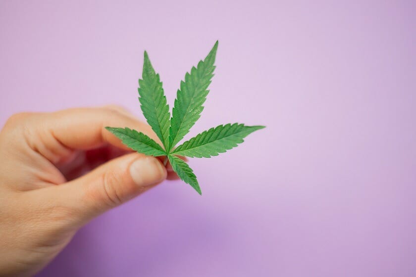 Get Kush Canada: Your One-Stop Shop for Premium cannabis Products | Get Kush Canada