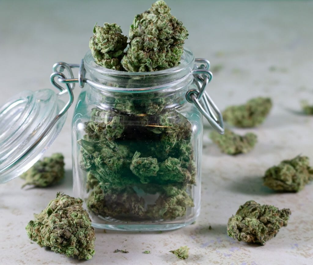 Bulk Weed: Unlocking the Power of Wholesale Cannabis | Get Kush Canada | Get Kush Canada
