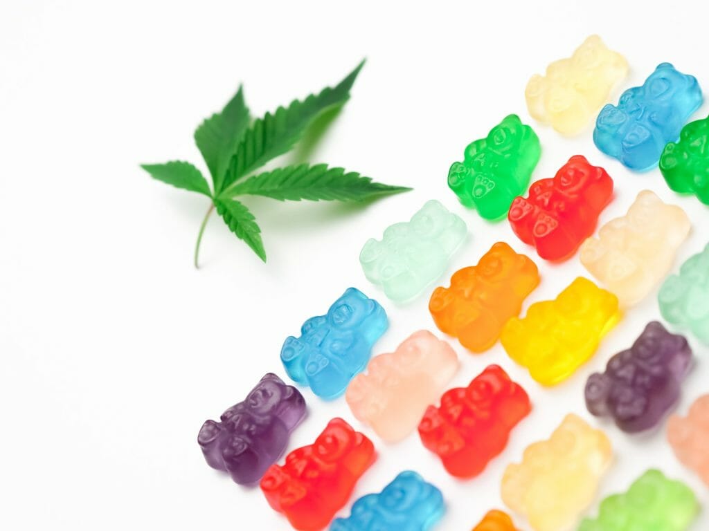 Edible Delights: A Guide to the Most Delicious cannabis in Edmonton | Get Kush Canada | Get Kush Canada