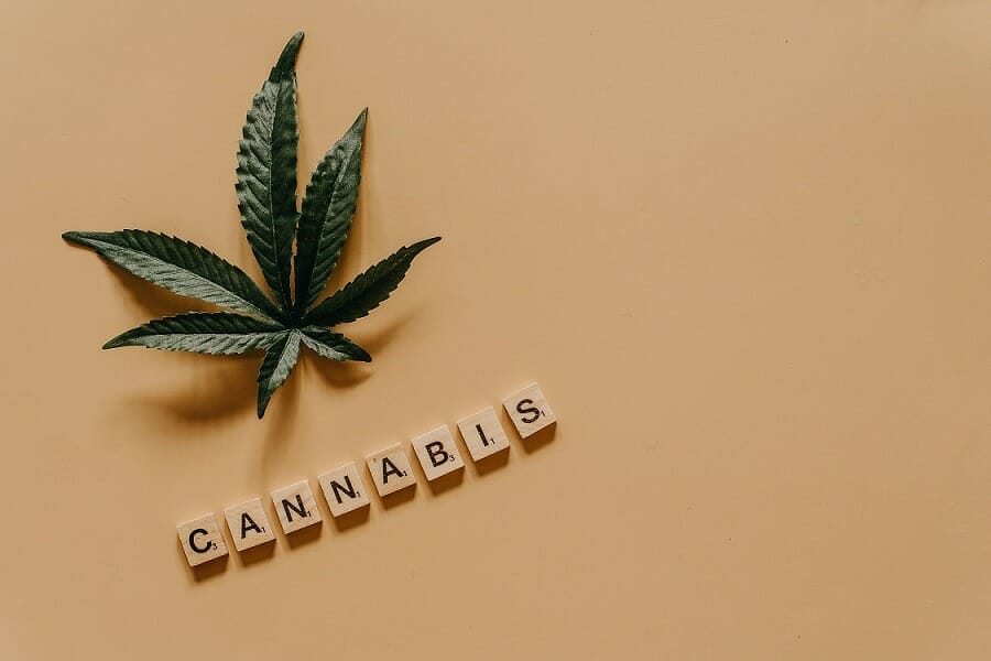 Cannabis weed | Get Kush Canada