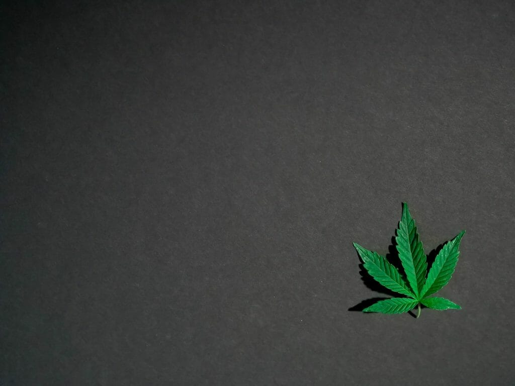 Hybrid Weed | Get Kush Canada
