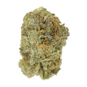 Slurricane | Get Kush Canada