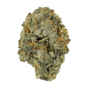 Chocolate Lava | Get Kush Canada