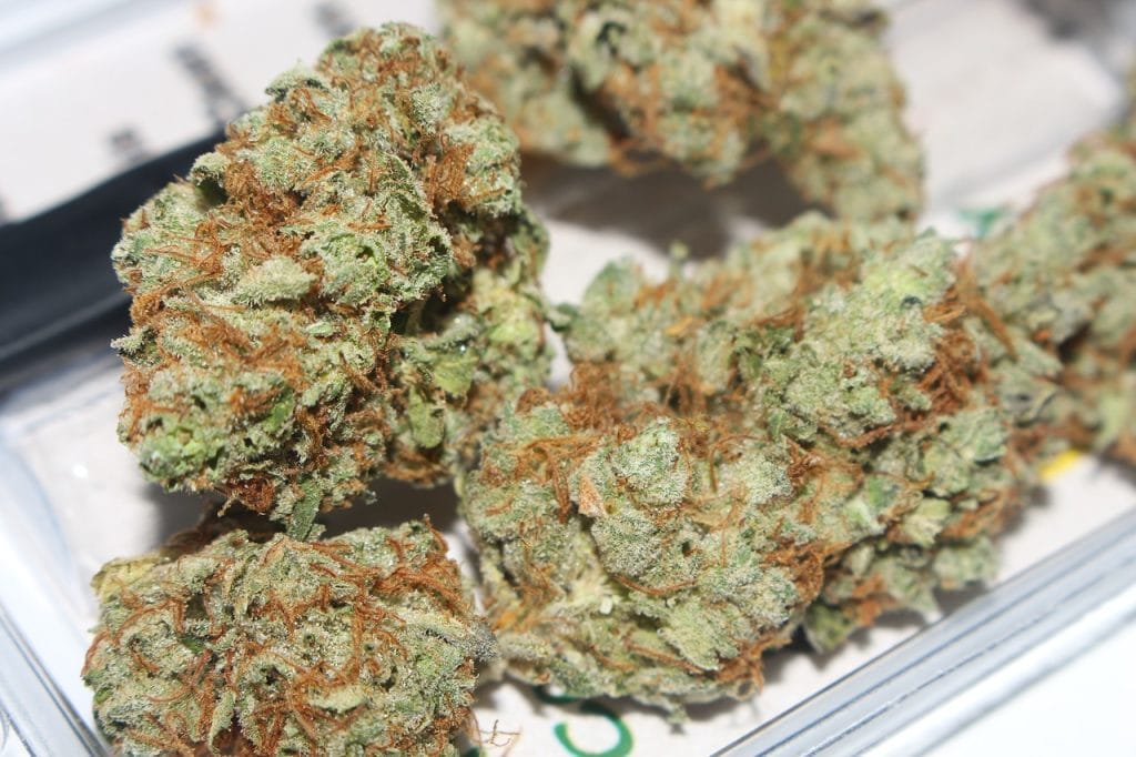 Hybrid cannabis Strains | Get Kush Canada