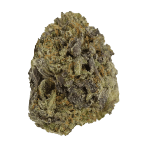 Snow Leopard | Get Kush Canada