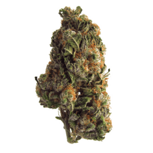 Grape Crush | Get Kush Canada