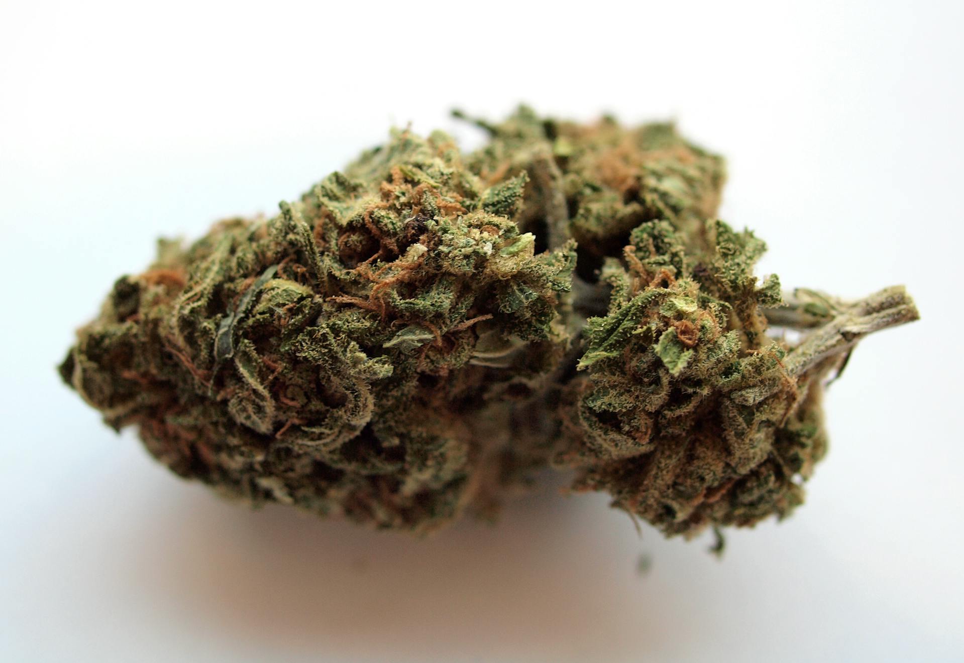 Buy cannabis online | Get Kush Canada