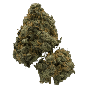 Mandarin Cookie (popcorn) | Get Kush Canada