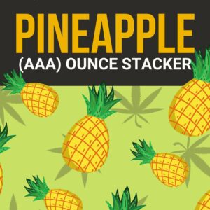 Pineapple 1 OZ Kit | Get Kush Canada